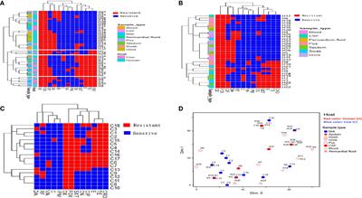 Clonal Diversity and Epidemiological Characteristics of ST239-MRSA Strains